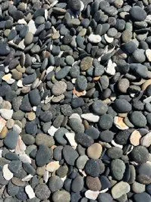 Campbell Mix pebble