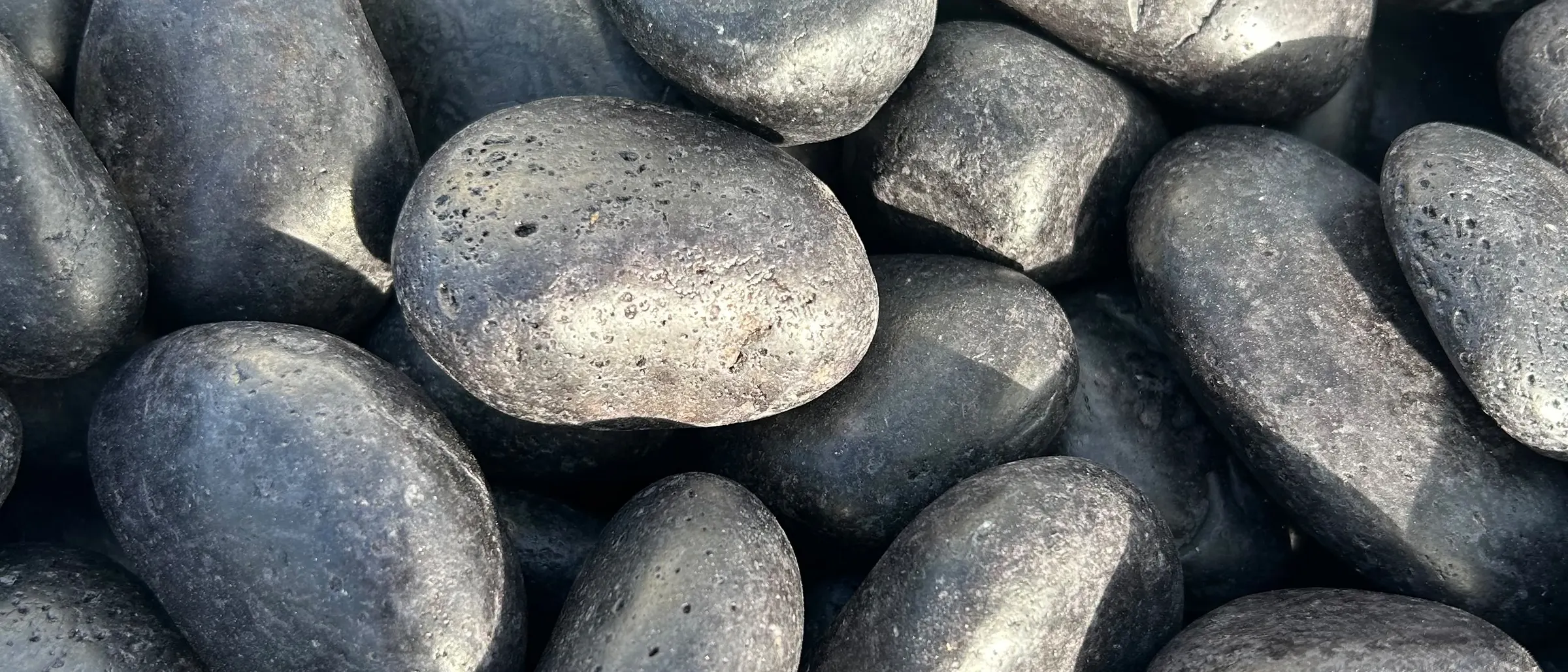 Close-up of Black Mexican Beach Pebble in the sun at our yard